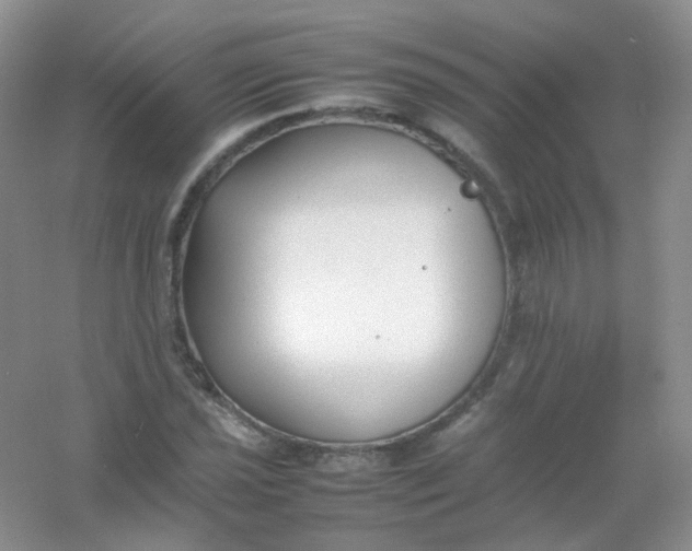 X0000054331021200508111913.png