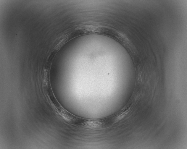 X0000055210121200508301332.png