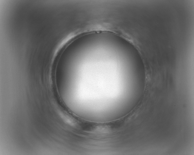 X0000054330248200508111926.png