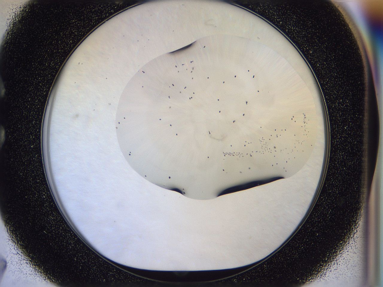 056l_C7_ImagerDefaults_6.jpg