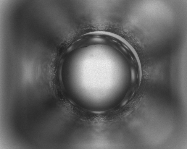 X0000047300599200502251429.png