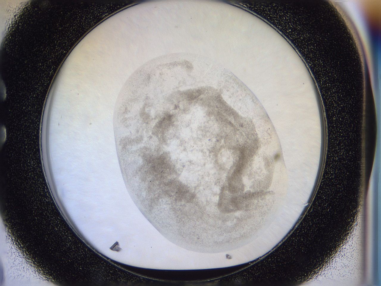 056l_C8_ImagerDefaults_3.jpg