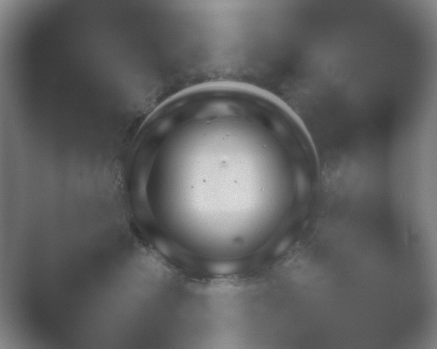 X0000054110574200508022102.png