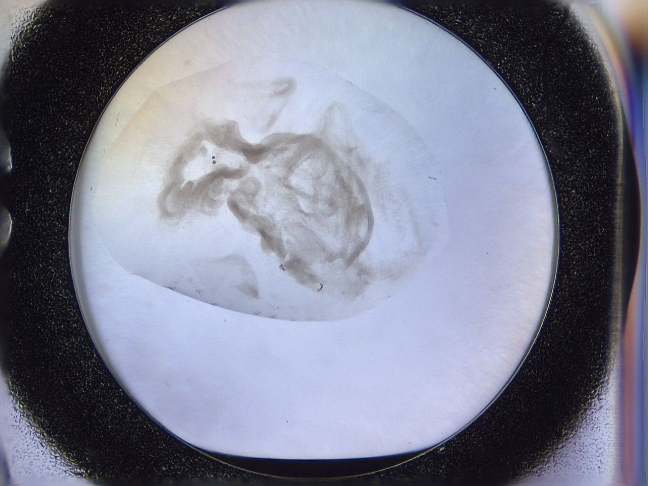 056l_C9_ImagerDefaults_3.jpg