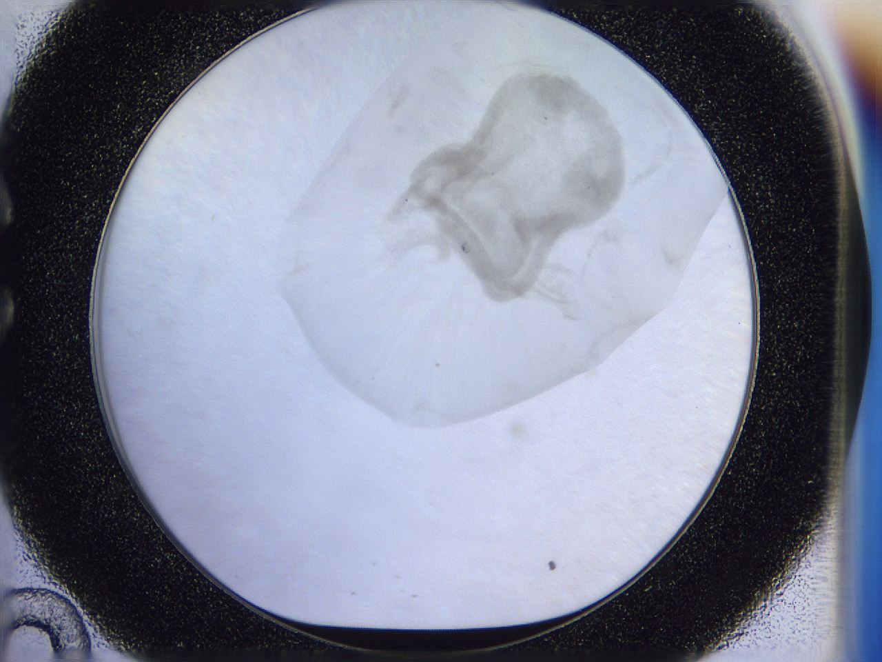 056l_C10_ImagerDefaults_3.jpg