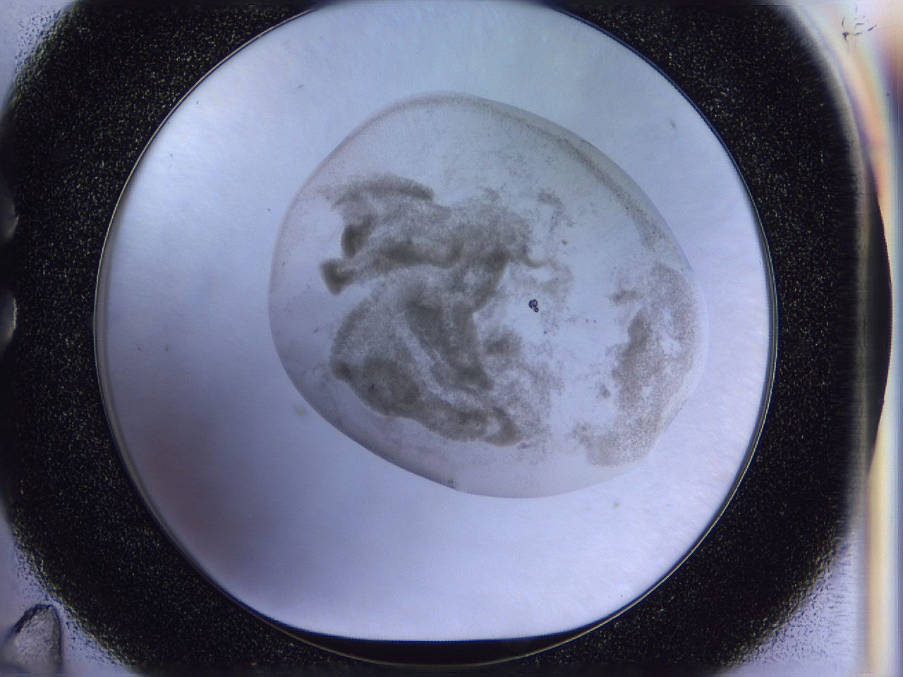 056l_C11_ImagerDefaults_3.jpg