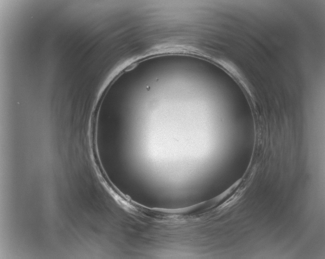 X0000055061438200508161634.png