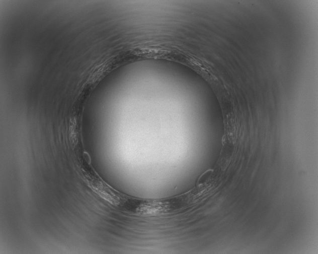 X0000055210563200508301325.png