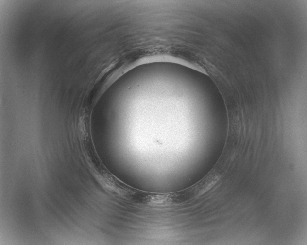 X0000055060088200508161657.png