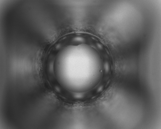X0000045450574200502011700.png
