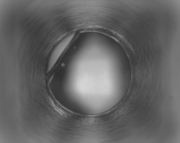 X0000055210881200508301319.png