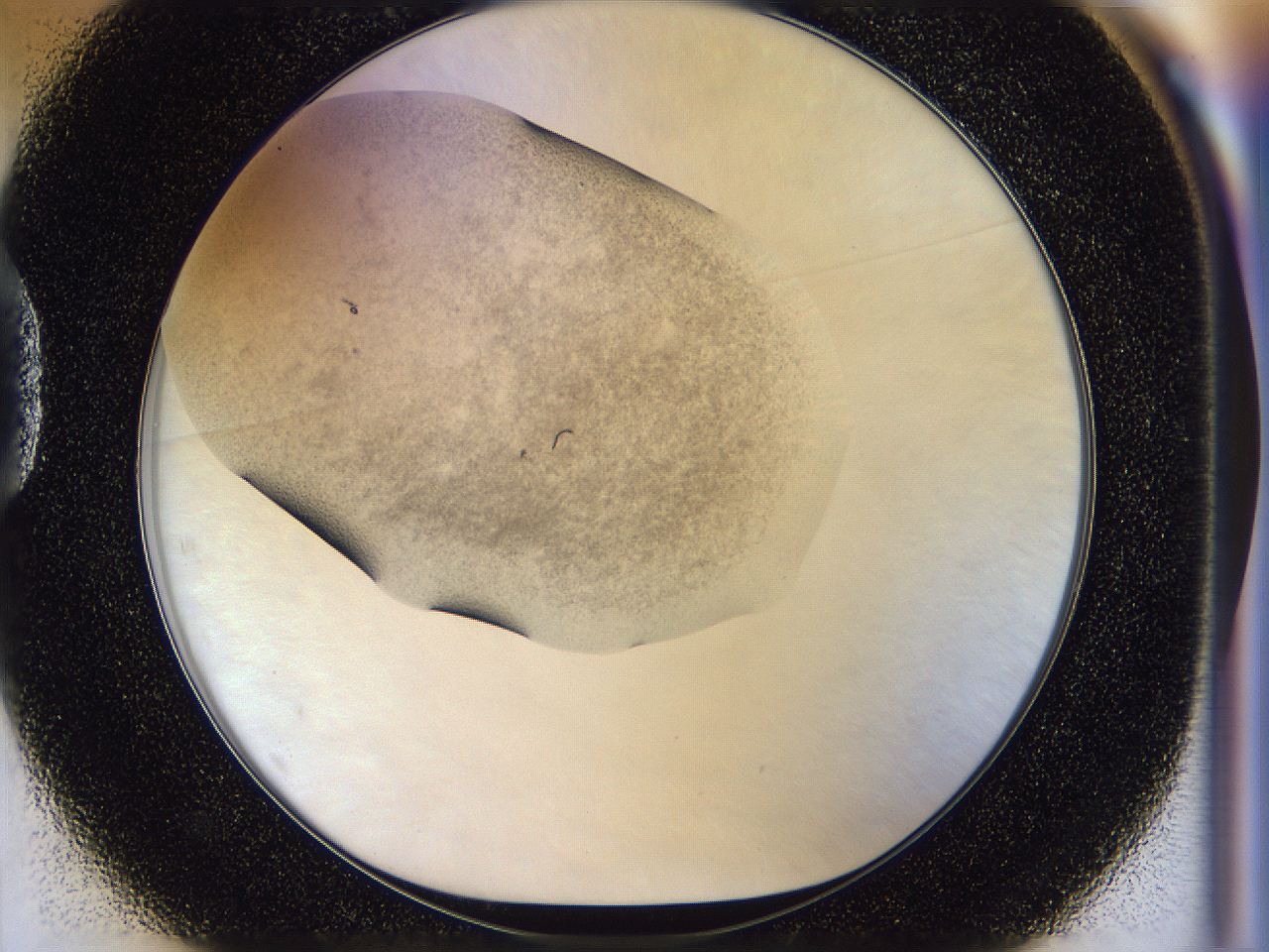 056l_D1_ImagerDefaults_3.jpg