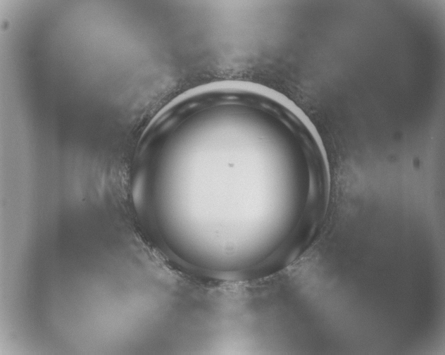 X0000052120138200507262101.png