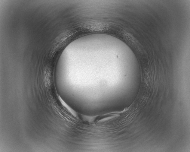 X0000055060596200508161648.png