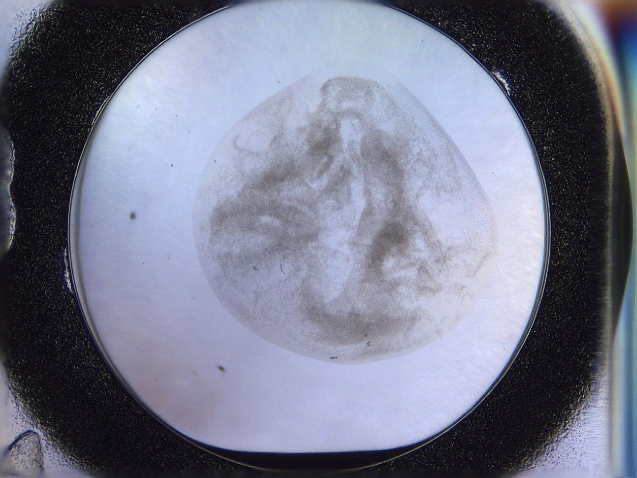 056l_B11_ImagerDefaults_3.jpg
