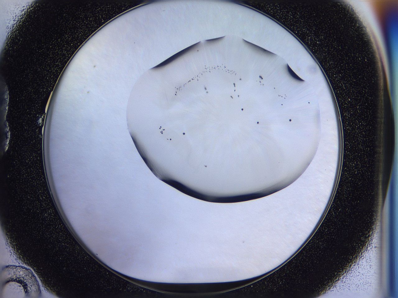 056l_B10_ImagerDefaults_6.jpg