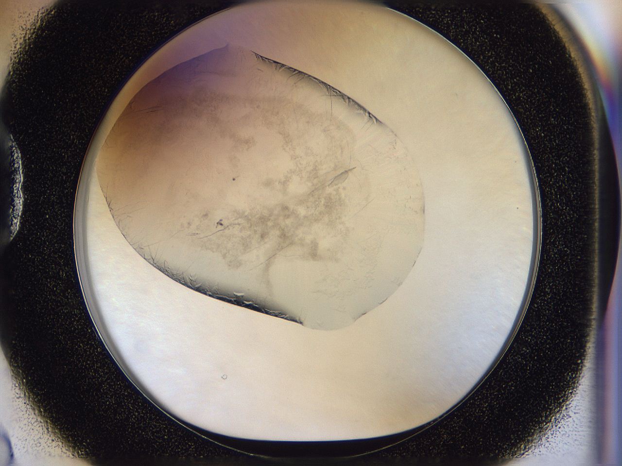 056l_D2_ImagerDefaults_8.jpg