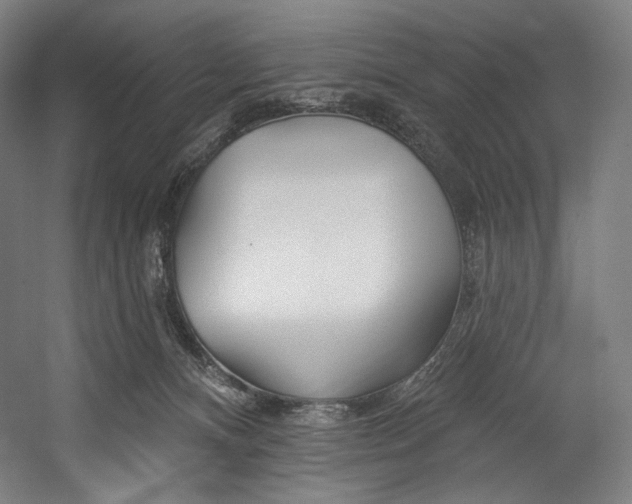 X0000055210128200508301332.png