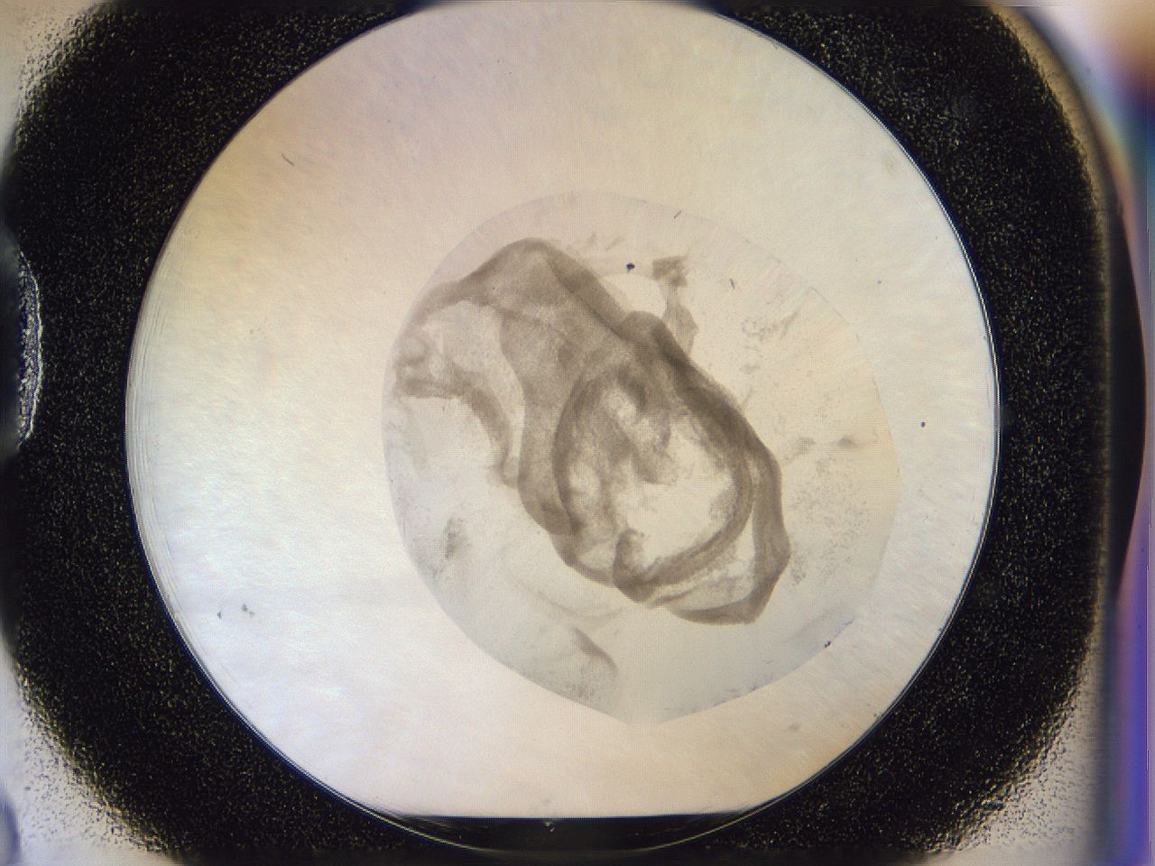 056l_D3_ImagerDefaults_3.jpg