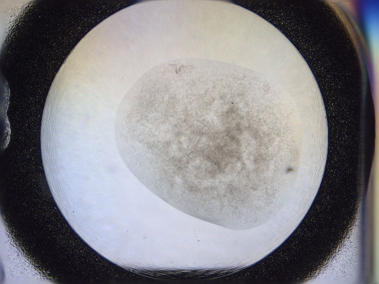 056l_B8_ImagerDefaults_3.jpg