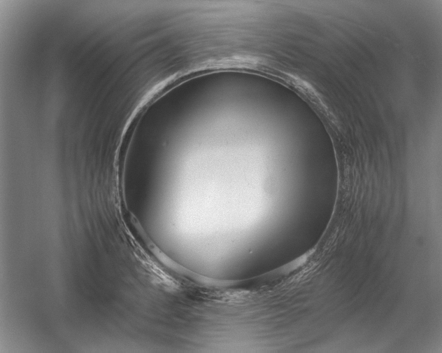 X0000055061184200508161638.png
