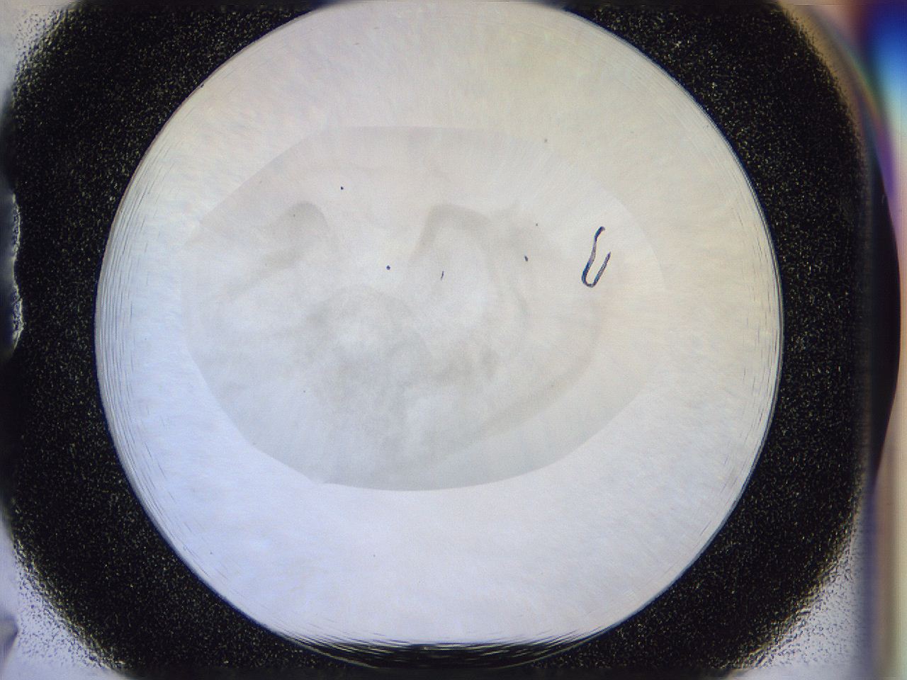 056l_B7_ImagerDefaults_1.jpg