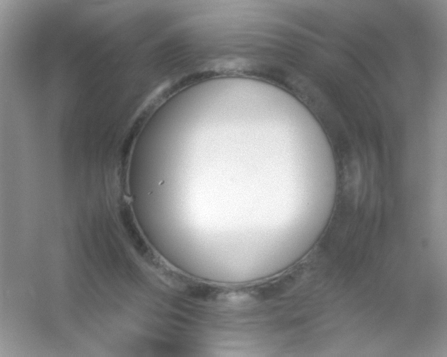 X0000054330208200508111928.png