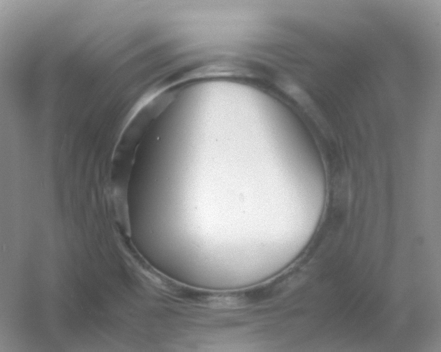 X0000054331465200508111906.png