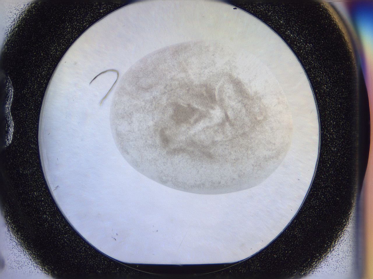056l_B6_ImagerDefaults_3.jpg