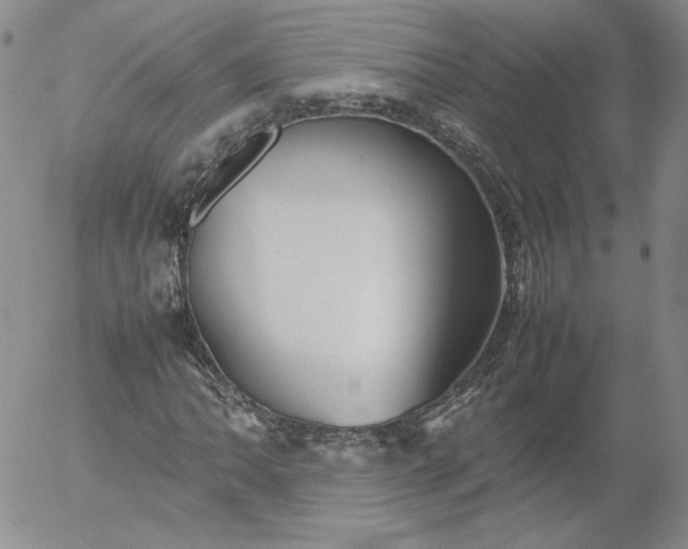 X0000054651062200508091636.png