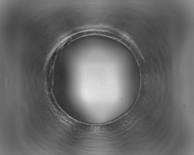 X0000055211360200508301311.png