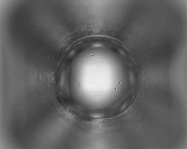 X0000052150136200507052001.png