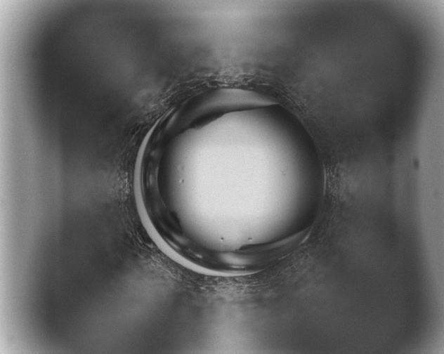 X0000041030962200411081229.png