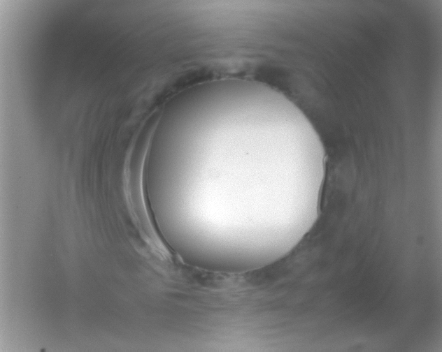 X0000054330961200508111915.png