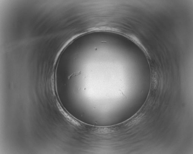 X0000055061100200508161639.png