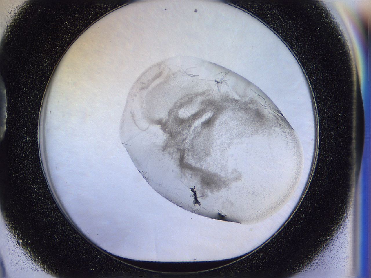 056l_D9_ImagerDefaults_8.jpg