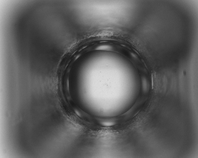 X0000047610300200502241148.png