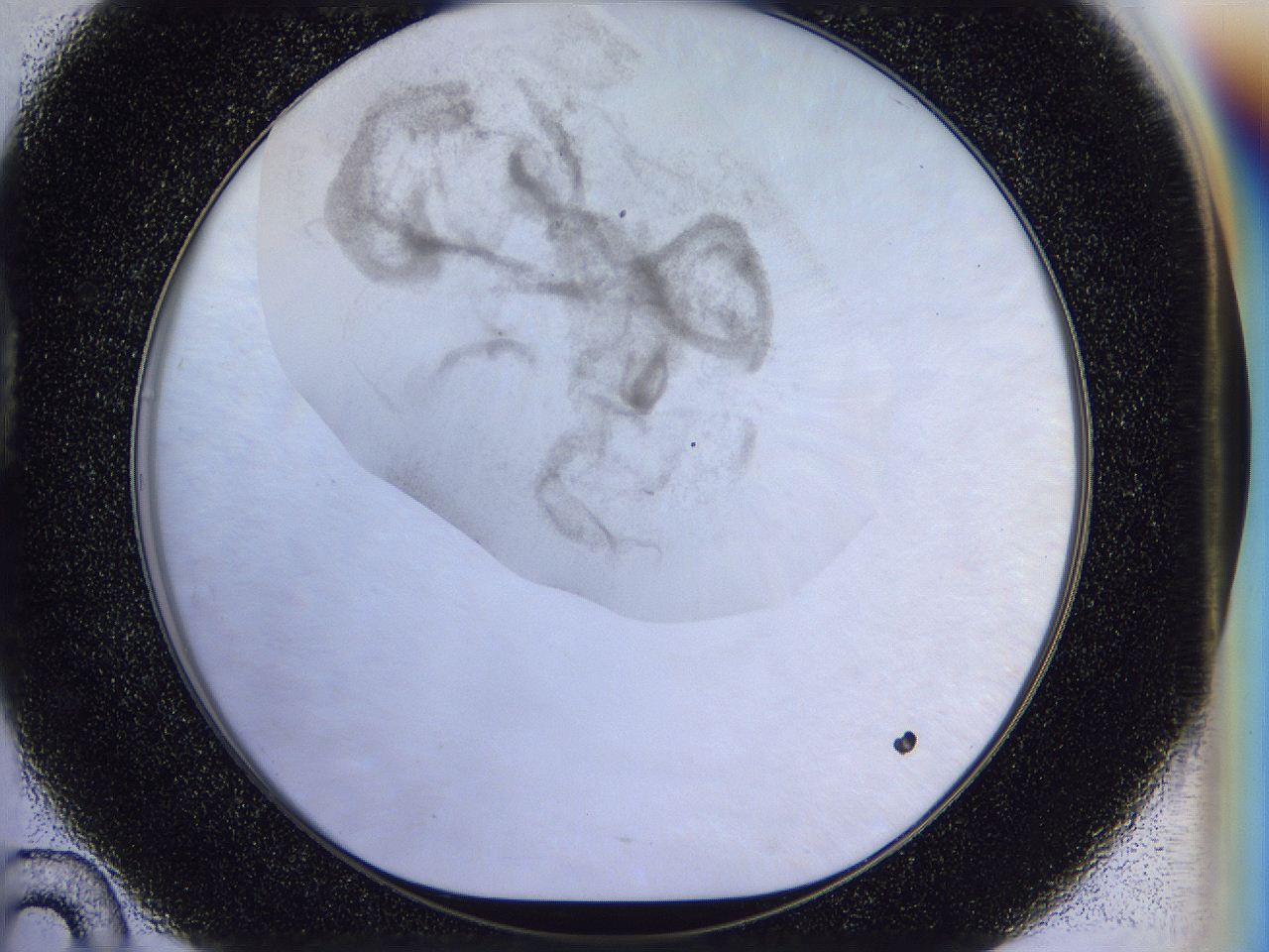 056l_D10_ImagerDefaults_3.jpg