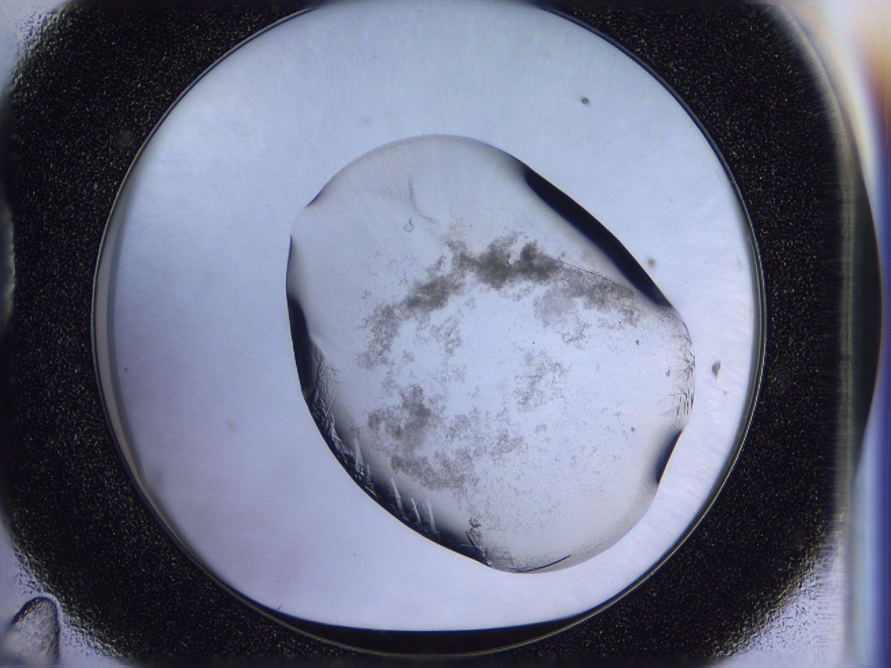 056l_D11_ImagerDefaults_8.jpg