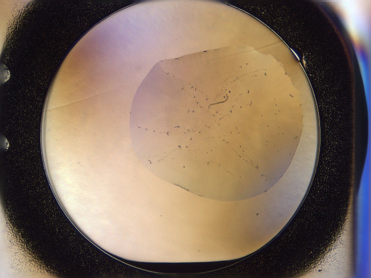 056l_E1_ImagerDefaults_6.jpg