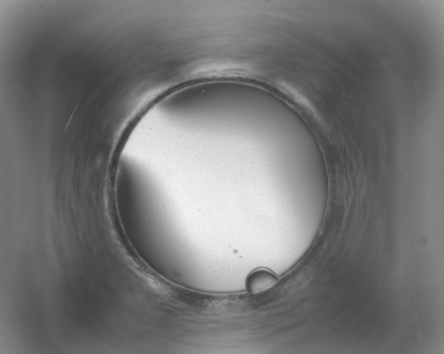 X0000054331277200508111909.png