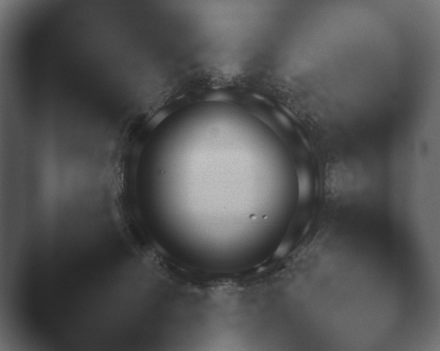 X0000048530468200503171515.png