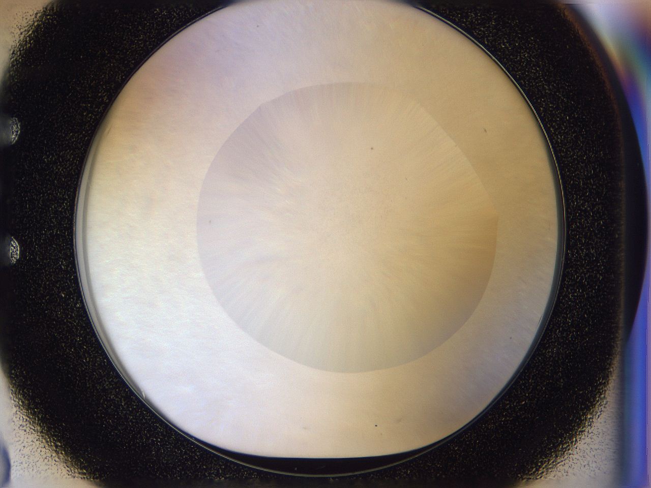 056l_E3_ImagerDefaults_0.jpg