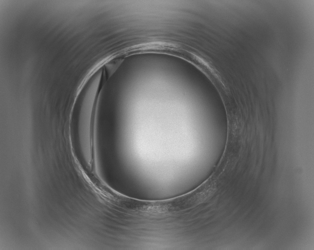 X0000055211418200508301310.png