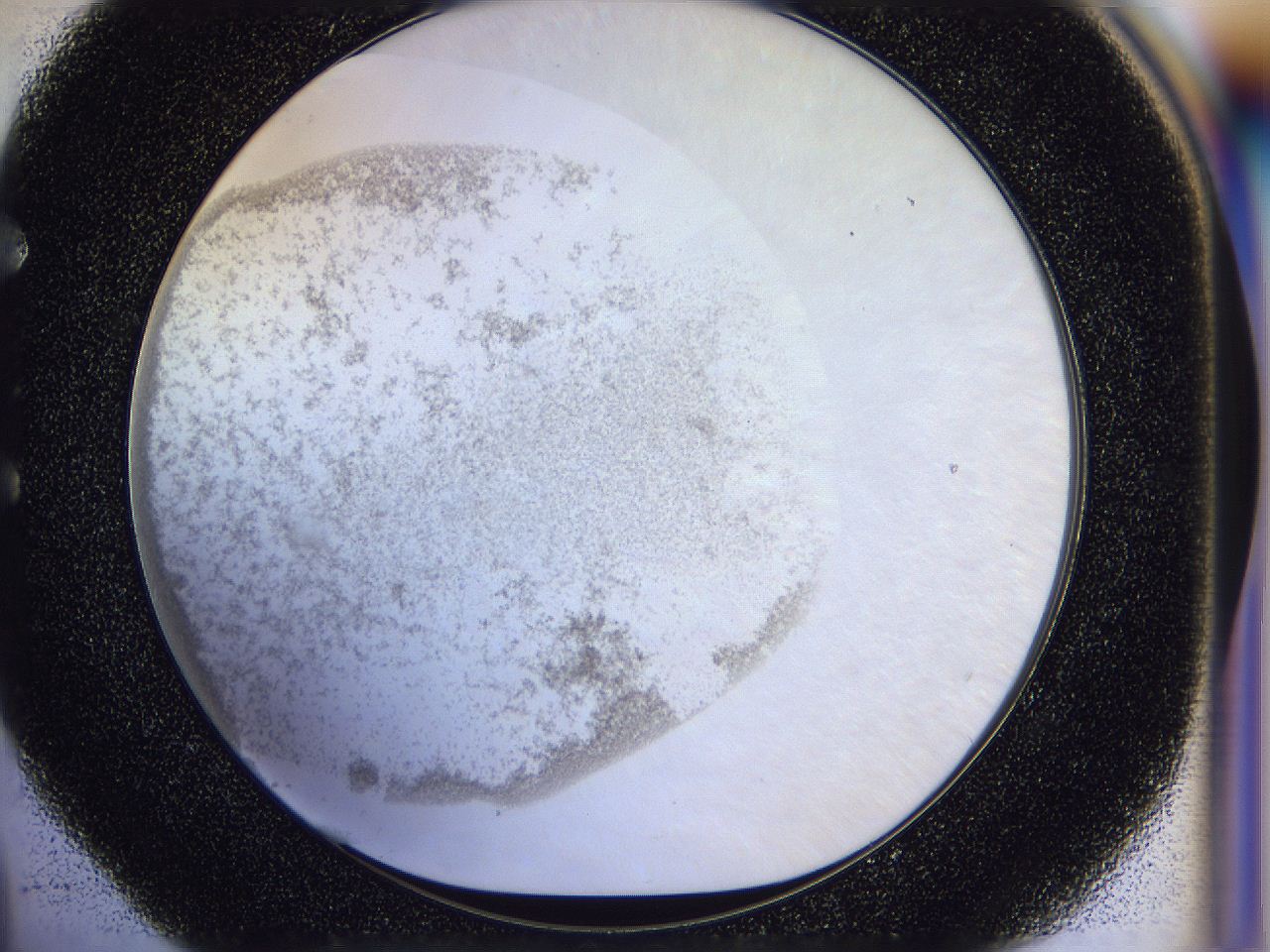 056l_E4_ImagerDefaults_2.jpg