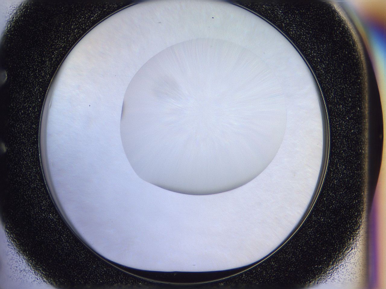 056l_E5_ImagerDefaults_0.jpg
