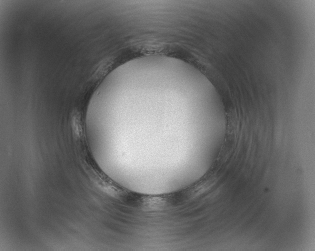 X0000055210287200508301330.png