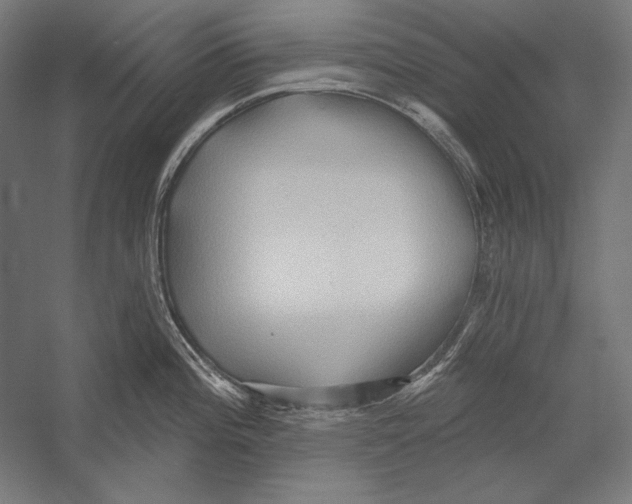 X0000055251196200509071607.png