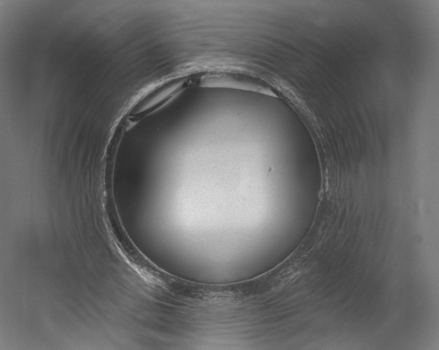 X0000055210438200508301326.png