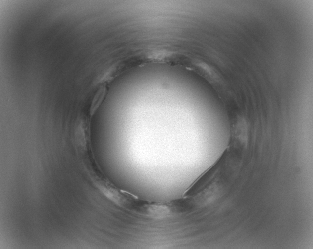 X0000054330572200508111922.png